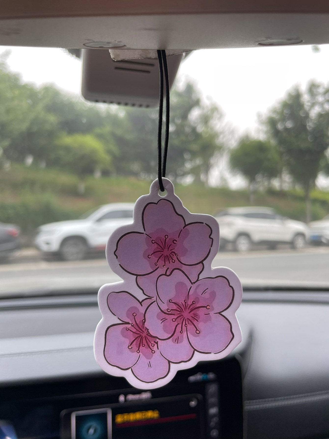 Sakura/Freesia Fresh Scent Fiv - огляд і ціна Perfume Fragrance Store
